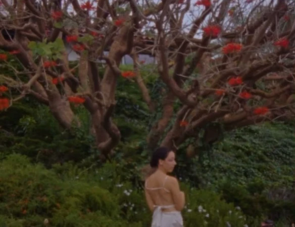 Woman in white dress stands in garden with lush green foliage and a tree with bright red flowers. Serene outdoor scene.