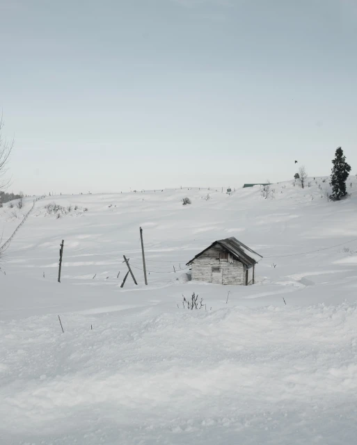 Snowy landscape features a weathered wooden shed partially buried in the snow. A fence line crosses the field under a pale sky.