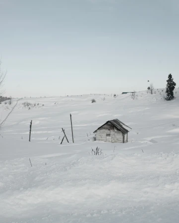 Snowy landscape features a weathered wooden shed partially buried in the snow. A fence line crosses the field under a pale sky.