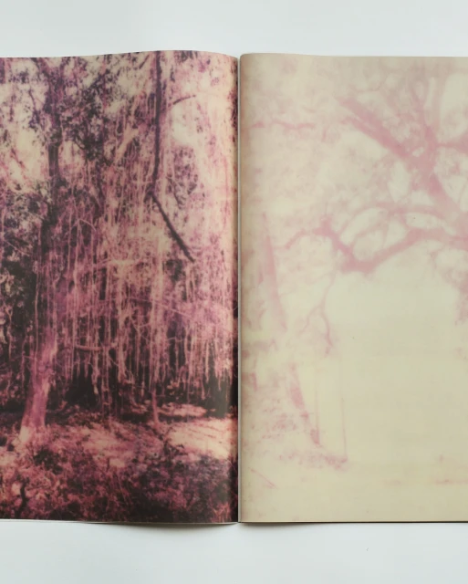 Two-page photo spread featuring a blurred image of trees in a forest with magenta and cream colour grading in a soft style.