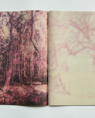 Two-page photo spread featuring a blurred image of trees in a forest with magenta and cream colour grading in a soft style.