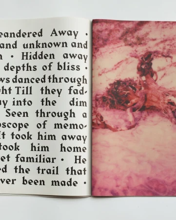 An open book with gothic typography on the left page and an abstract pink textured photographic print on the right page.