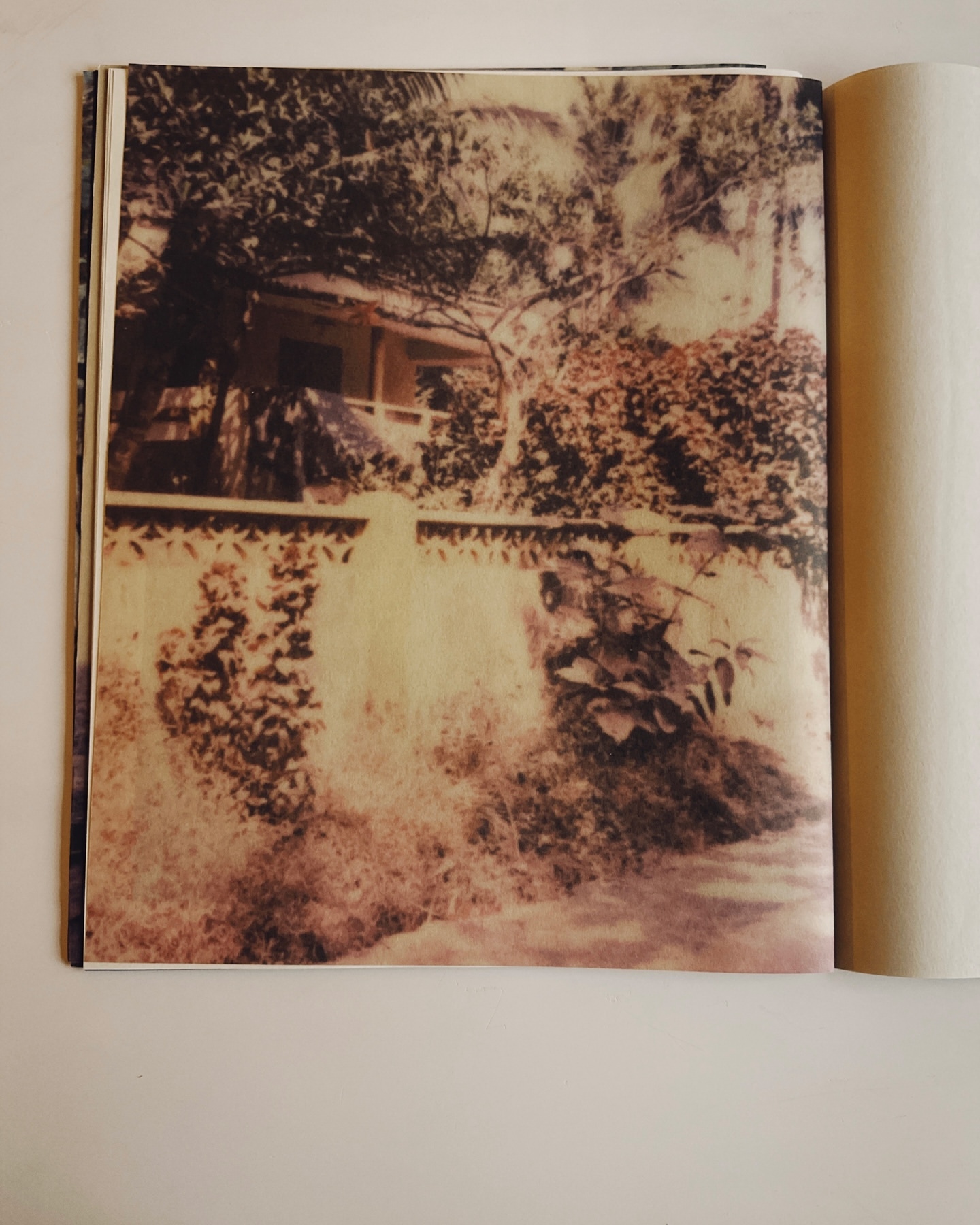 Photograph of a building taken through an open book, with trees and shrubbery surrounding the house in the background.