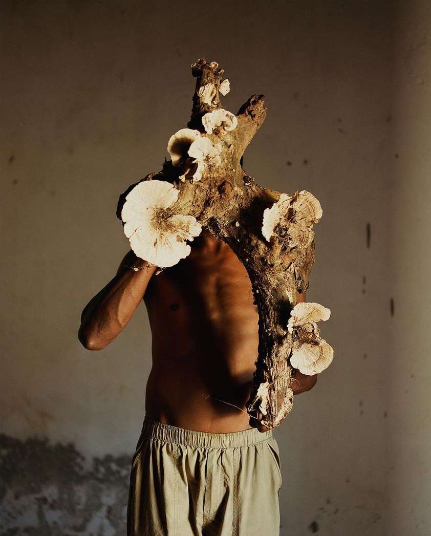 An adult male carries a large log covered in fungi, obscuring his face in a dimly lit indoor setting with tan and brown tones.