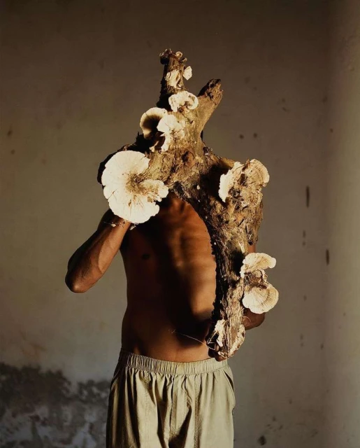 An adult male carries a large log covered in fungi, obscuring his face in a dimly lit indoor setting with tan and brown tones.