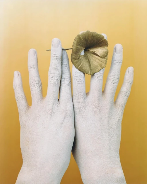 Close-up shot of two painted hands holding a gold flower, set against a soft yellow gradient background in a studio setting.