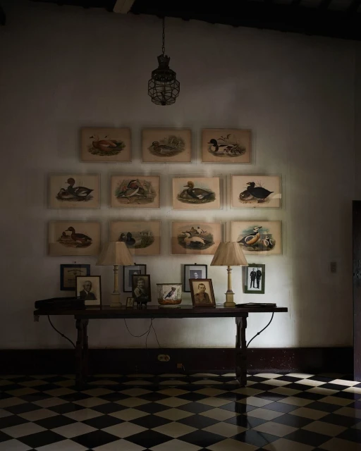 Interior view of a room featuring framed prints of birds, a table with lamps, and a black and white checkered floor, evoking a vintage ambiance.