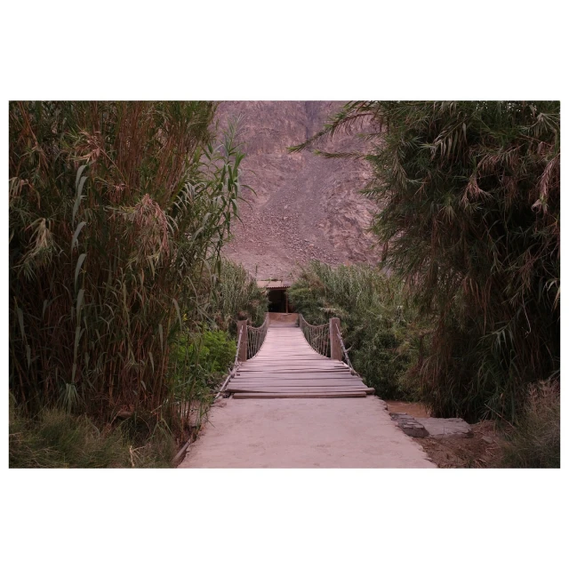 A wooden suspension bridge stretches towards a dark opening, framed by tall reeds and a rocky mountain backdrop in muted, earthy tones.