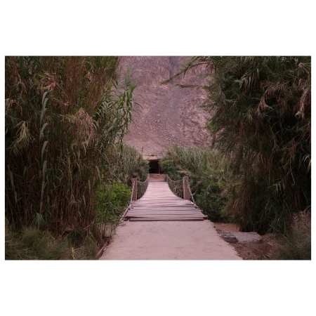 A wooden suspension bridge stretches towards a dark opening, framed by tall reeds and a rocky mountain backdrop in muted, earthy tones.