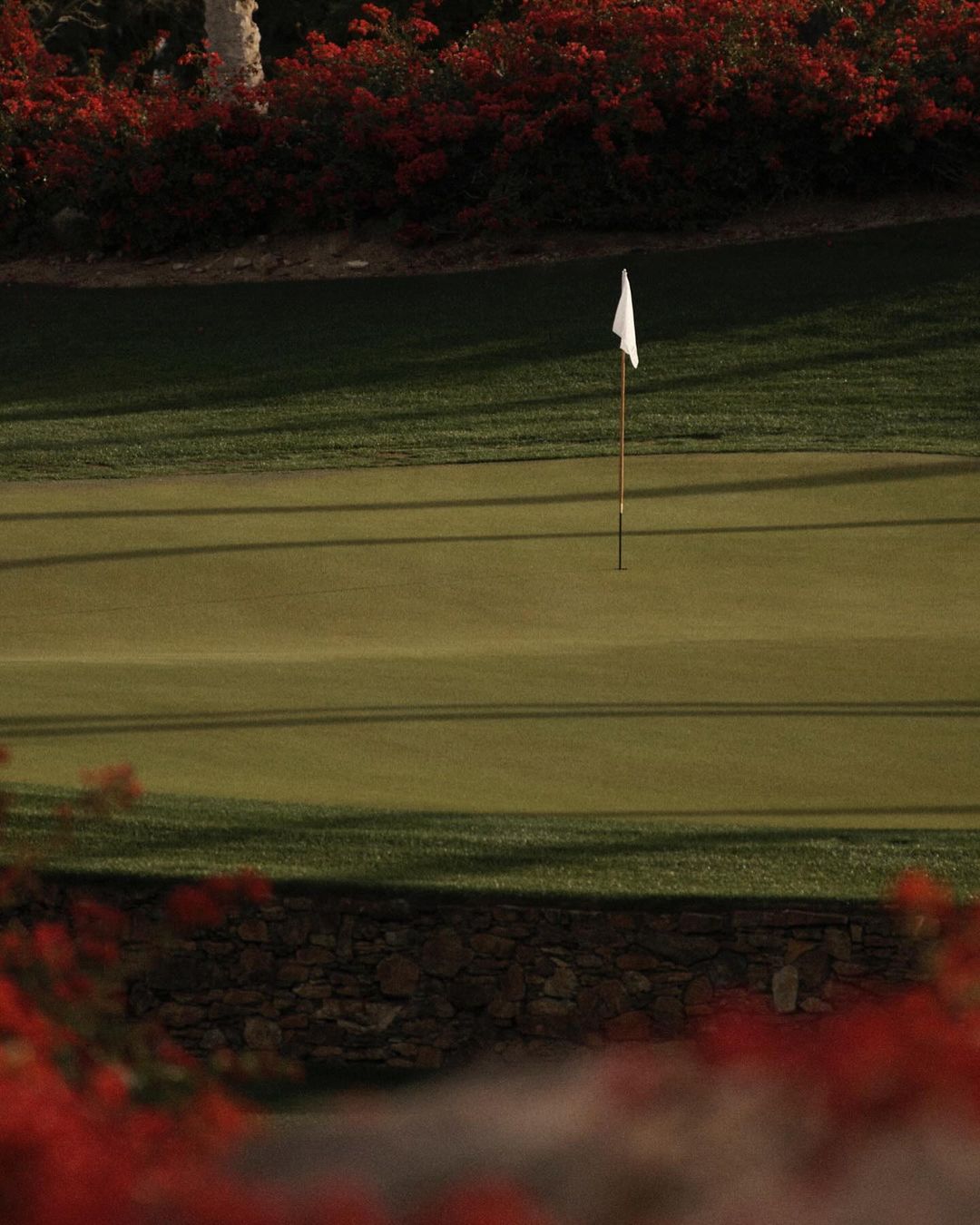 Golf course putting green with a white flag in the center, surrounded by green grass and red flowering plants. Outdoor setting.