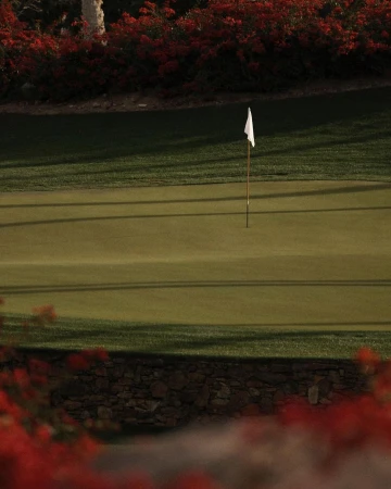 Golf course putting green with a white flag in the center, surrounded by green grass and red flowering plants. Outdoor setting.