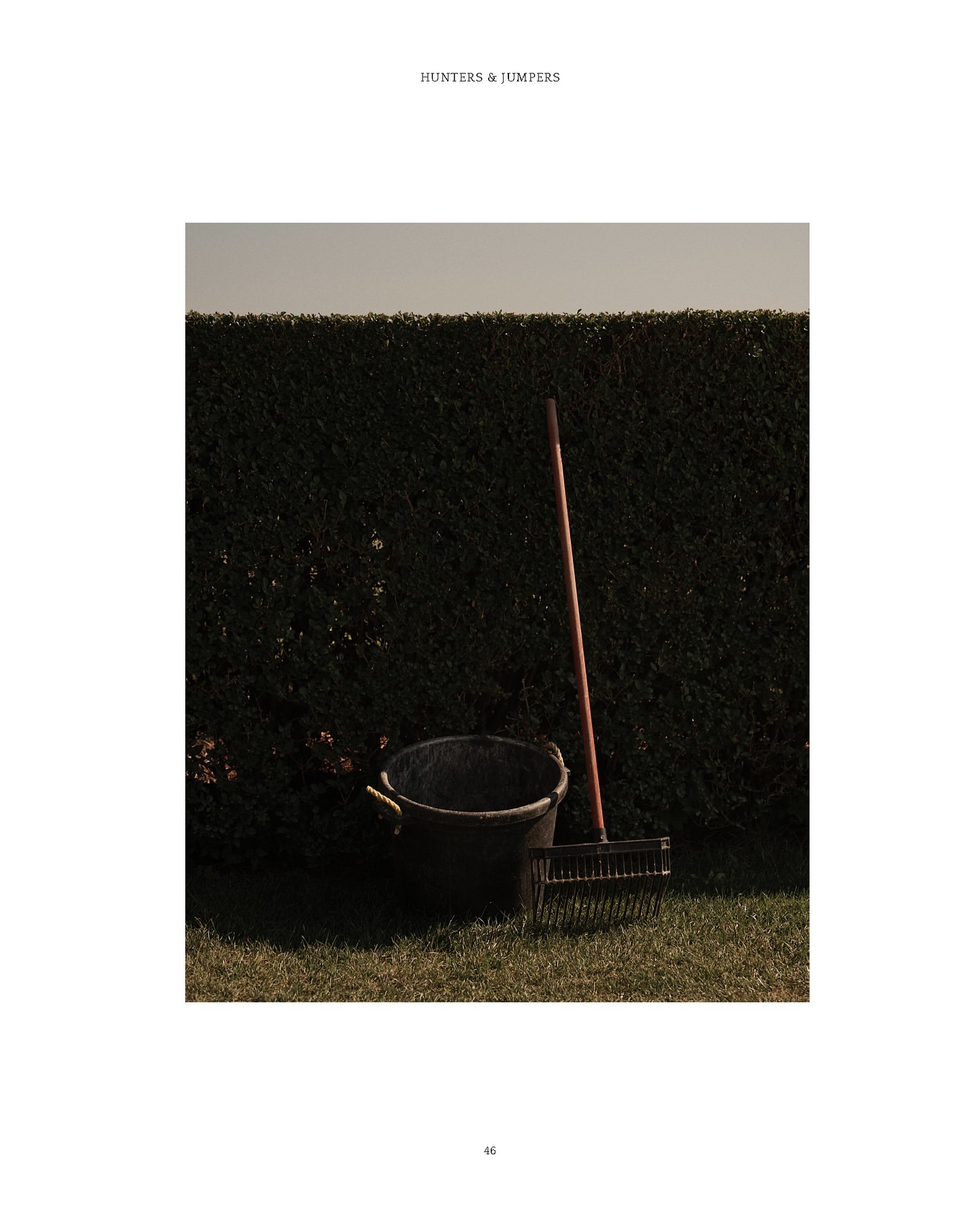 Outdoor still life of a metal bucket, rake, and trimmed hedge in natural light. Garden tools and garden maintenance visual.