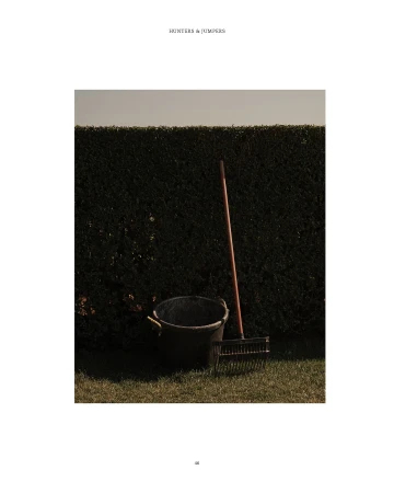 Outdoor still life of a metal bucket, rake, and trimmed hedge in natural light. Garden tools and garden maintenance visual.