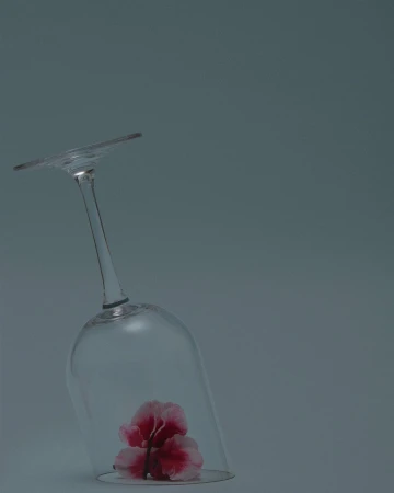 An inverted wine glass rests on a grey surface containing a small pink and white flower trapped underneath.