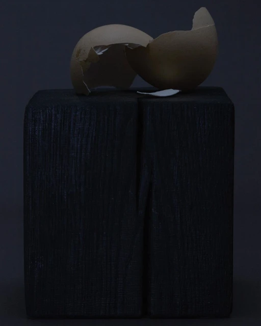 Cracked eggshell sits on a black wooden block in a studio setting with a dark background, creating a still life composition.