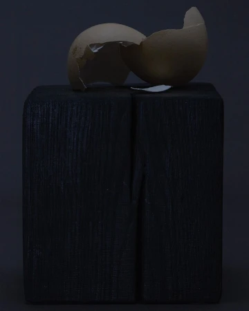 Cracked eggshell sits on a black wooden block in a studio setting with a dark background, creating a still life composition.