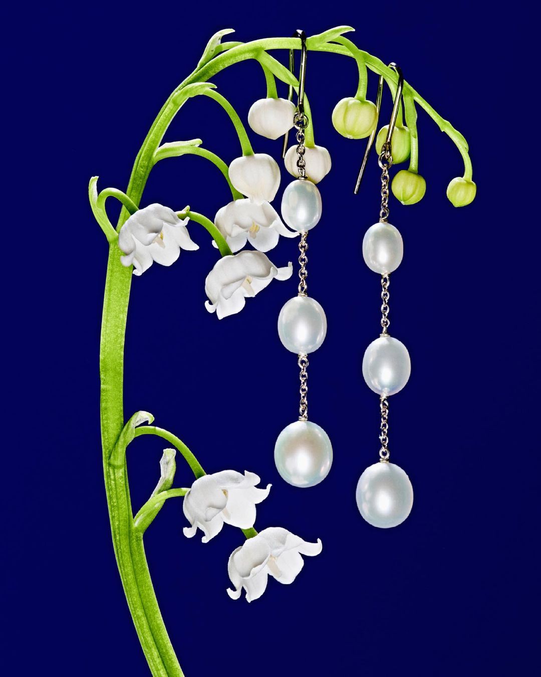 Close-up studio shot of dangling pearl earrings hanging from the stem of a lily of the valley flower on a dark blue background.
