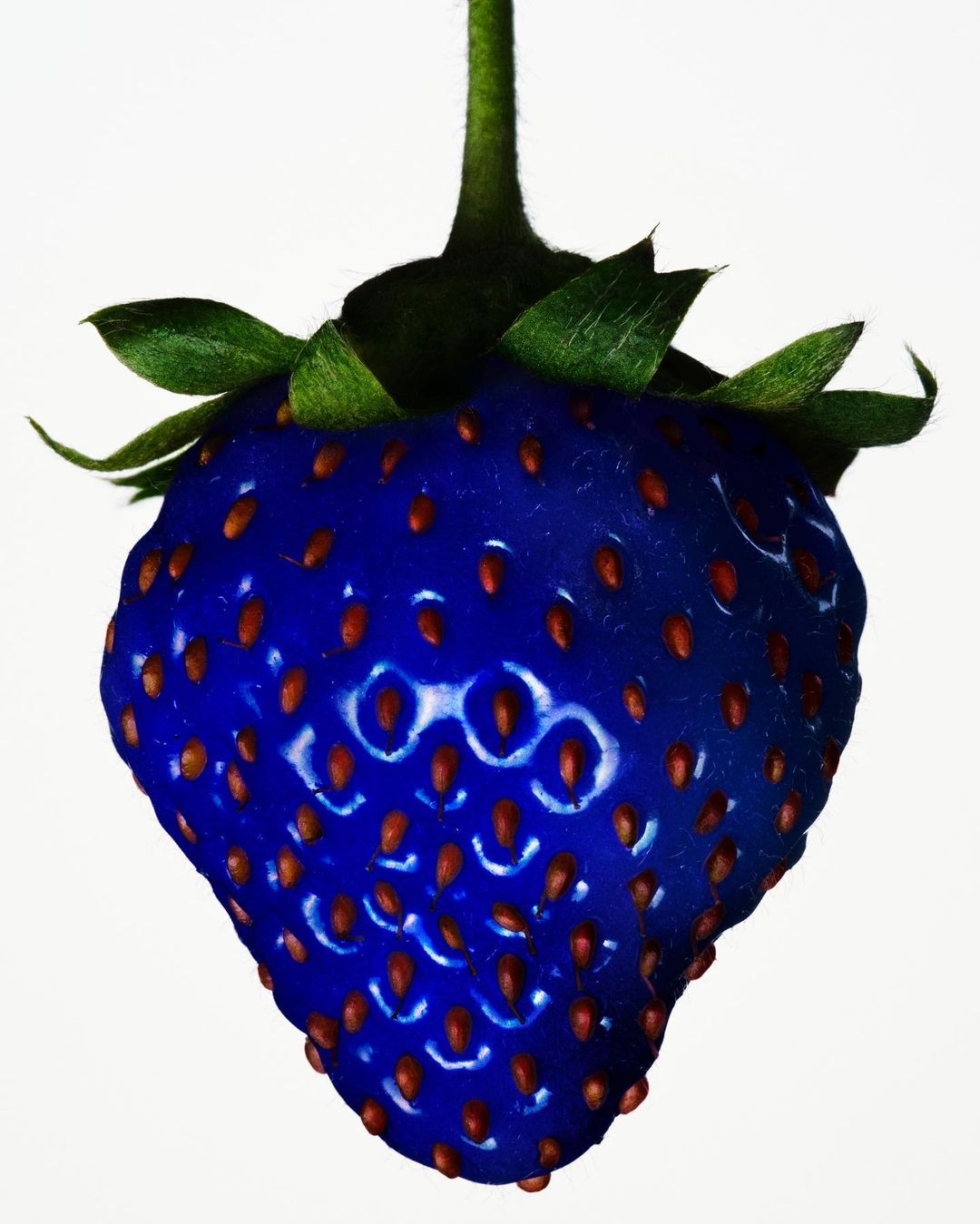 Close-up studio shot of a blue strawberry with tiny brown seeds and green leaves against a white background in horizontal orientation.