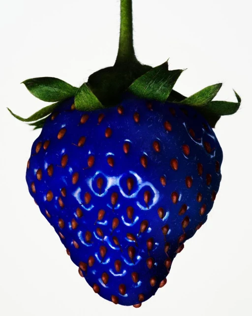 Close-up studio shot of a blue strawberry with tiny brown seeds and green leaves against a white background in horizontal orientation.