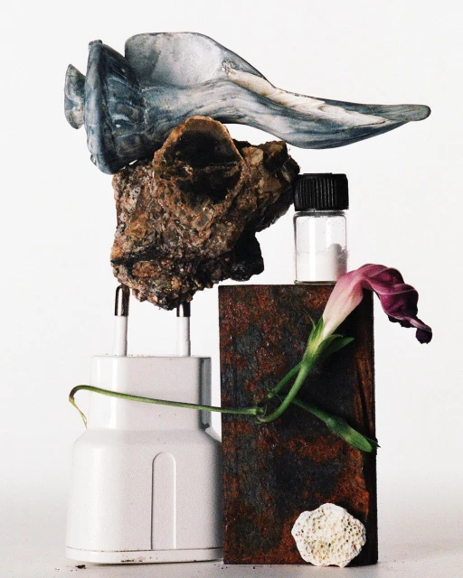 Still life of assorted objects including a rock, carved piece, plastic charger, bottle, flower, and a wooden block.