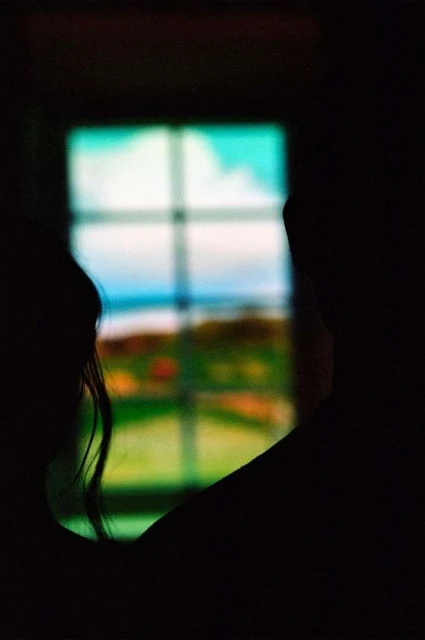 Silhouetted figures watch a blurred view from a window showing a bright outdoor scene with a field and sky, under dark lighting.