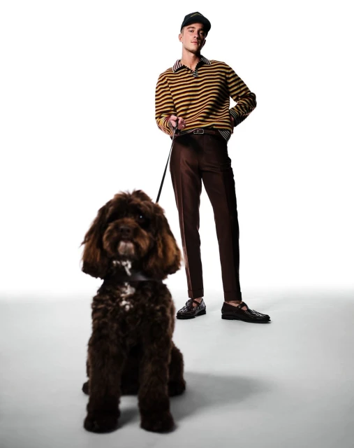 Young adult male walks a brown poodle dog on a leash in a white photo studio, wearing brown pants and a striped shirt.