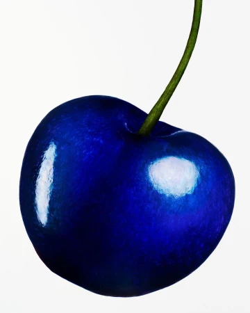 Close-up macro image of a single vibrant blue cherry with a green stem against a plain white background.