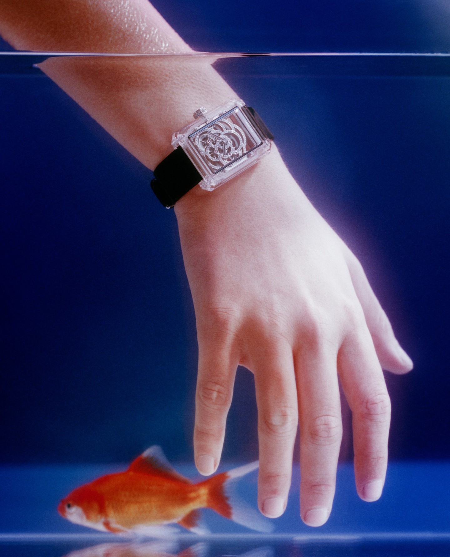 A person's arm and hand are underwater with a clear wristwatch and a goldfish swimming below in front of a blue background.