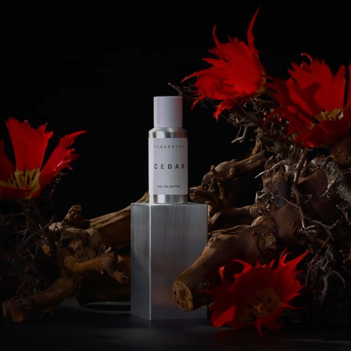 Product shot of a silver perfume bottle on a block with red flowers and textured wood against a black background, in a studio.