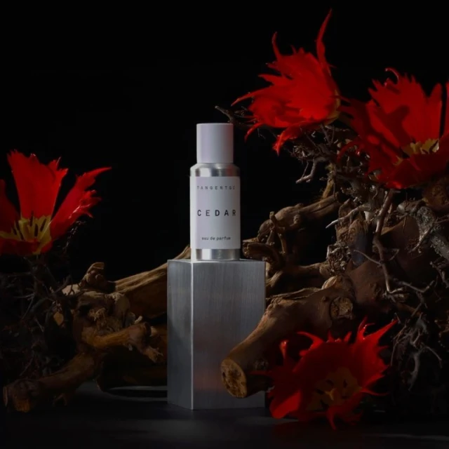 Product shot of a silver perfume bottle on a block with red flowers and textured wood against a black background, in a studio.