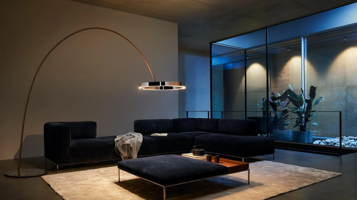 Interior design featuring a modern sectional sofa, floor lamp, ottoman, and lush green plants enhancing the ambiance of the living room.
