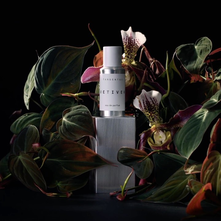 Perfume bottle by Tangent GC, 'Vetiver' scent, centered on a metallic block surrounded by green foliage and exotic orchid flowers, studio lit.