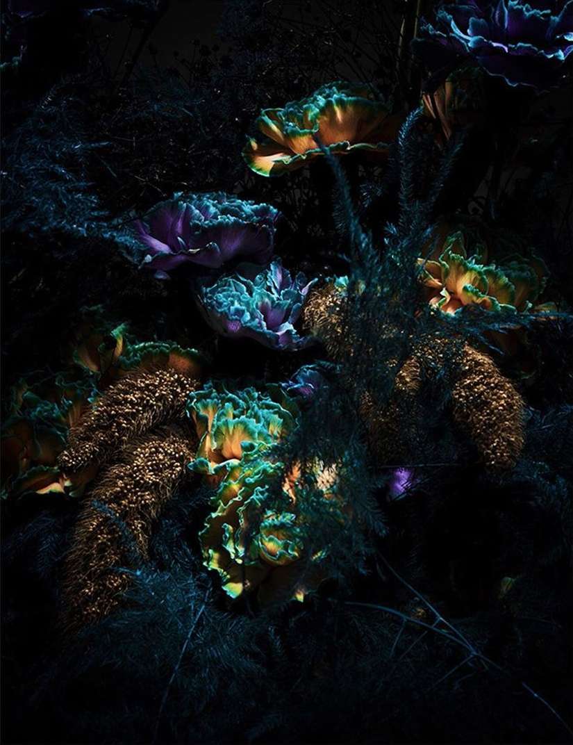 Floral arrangement featuring various types of flowers and textured greenery in tones of blue, green, brown, and purple against a dark background.