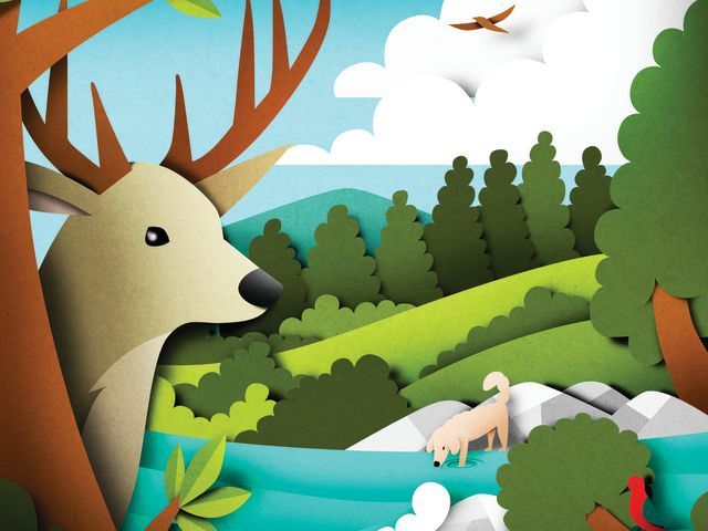 Illustration of a deer in a forest, with a dog drinking from a river, trees, and a bird flying in the sky against a cloudy background.