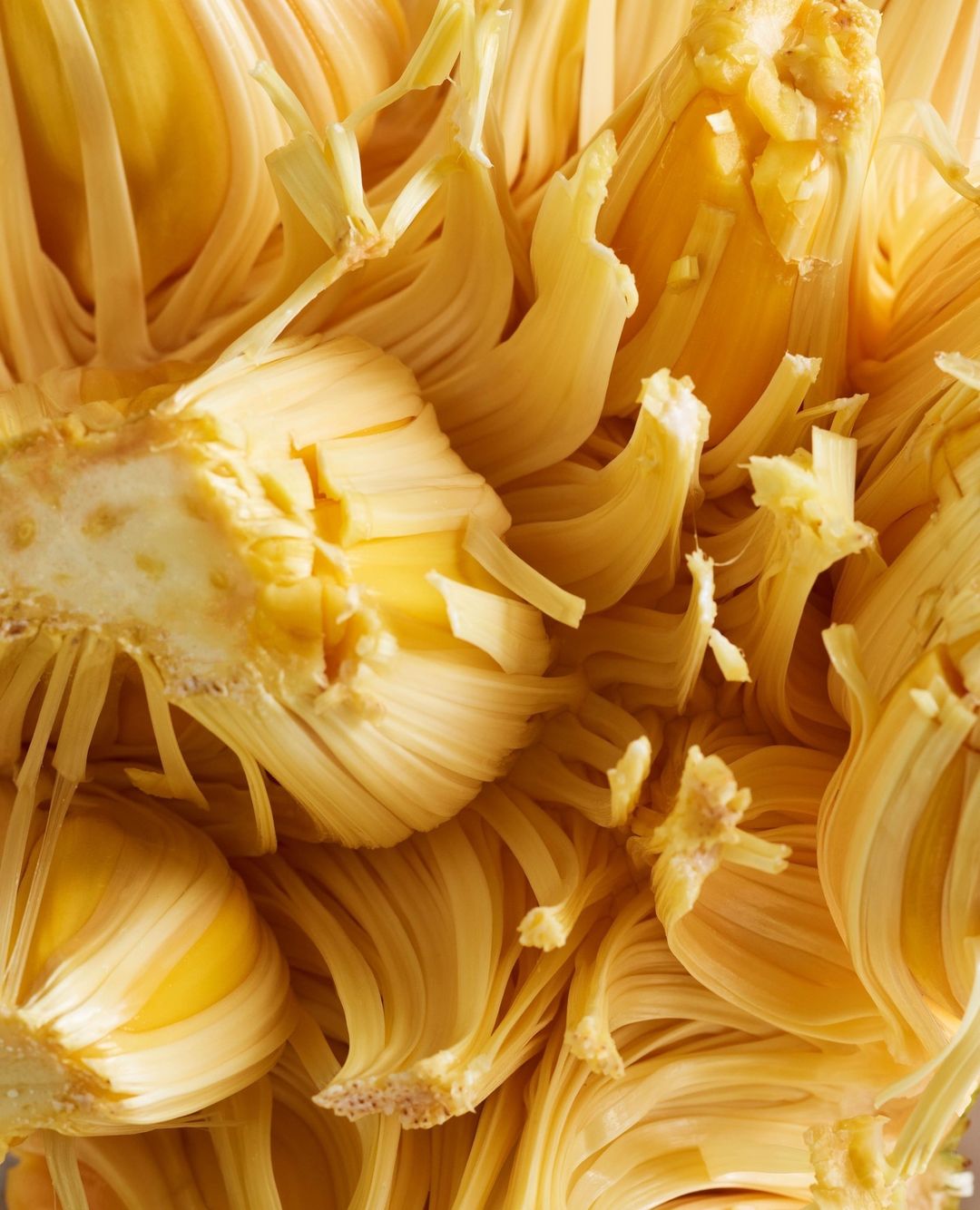 Close-up shot of a jackfruit's interior reveals its yellow flesh, showcasing its texture and unique structure, ideal for food and nature themes.