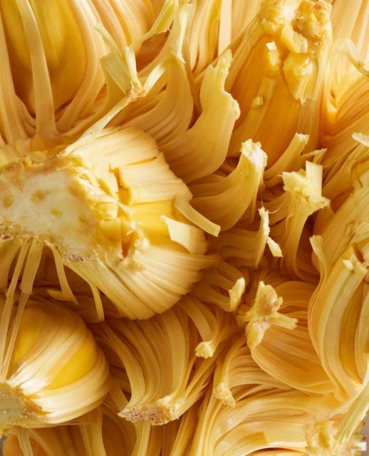 Close-up shot of a jackfruit's interior reveals its yellow flesh, showcasing its texture and unique structure, ideal for food and nature themes.