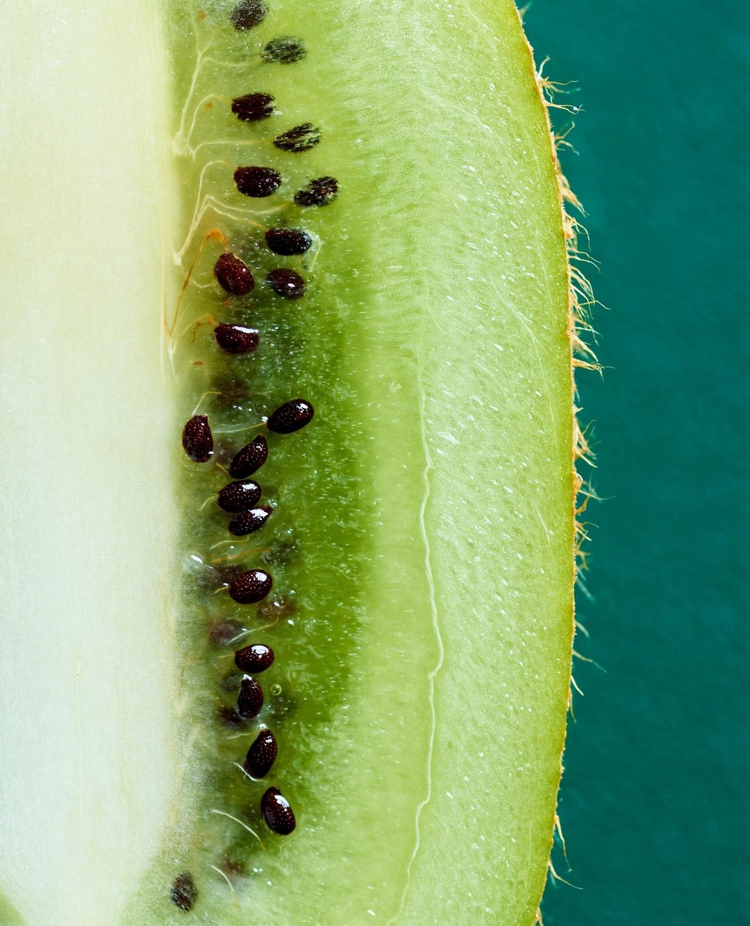 A vibrant macro image displaying a halved kiwi fruit, showcasing its green flesh, black seeds, and fuzzy brown skin against a teal backdrop.