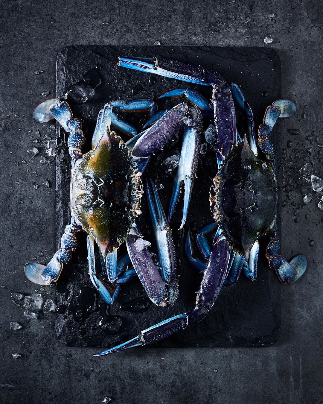 Overhead shot of two blue crabs arranged on a rectangular black slate board with scattered ice crystals, creating a culinary still life.