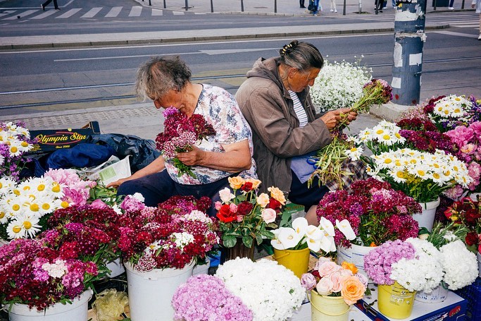 Two elderly women sell flowers from buckets in an urban setting, with a street and tram tracks visible in the background on a sunny day.
