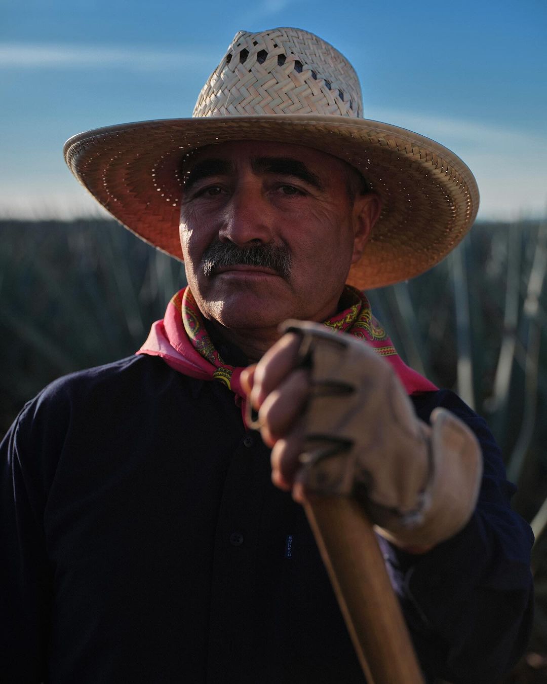 Portrait of a weathered farmer in a straw hat with field in background. Authentic farm lifestyle image, outdoor worker with hand tools.