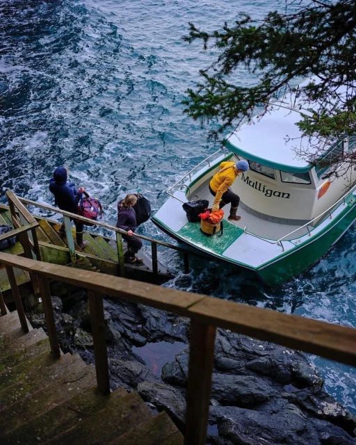 People disembark a small green-and-white boat onto rocky shore via wooden stairs. Ocean backdrop, overcast day, coastal scene.