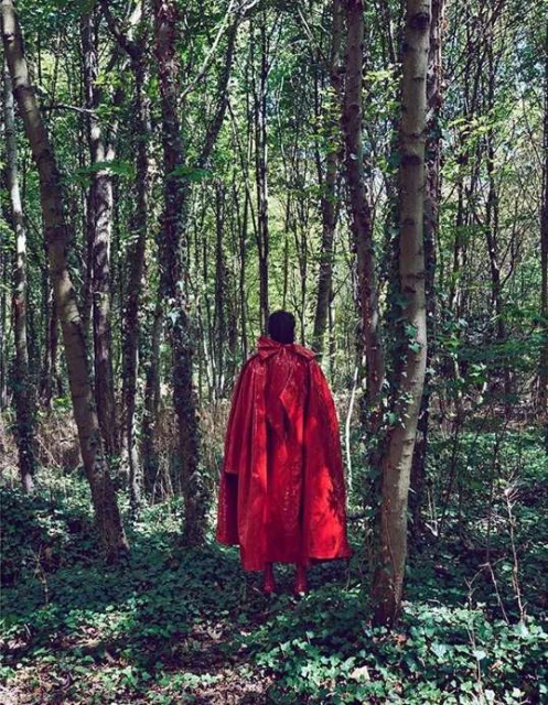 Person in a bright red hooded cape stands amidst dense trees and ground cover in a forest setting, viewed from the back.