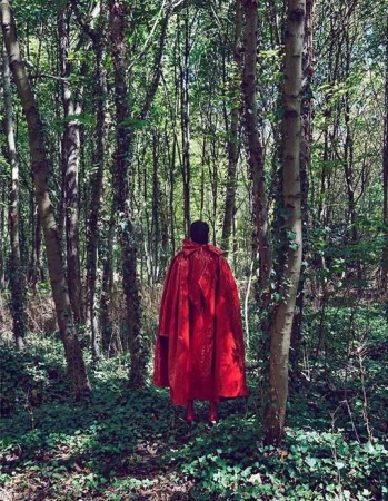 Person in a bright red hooded cape stands amidst dense trees and ground cover in a forest setting, viewed from the back.