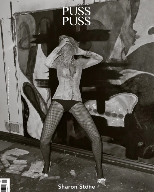 Black and white portrait of Sharon Stone on a magazine cover, posing in front of abstract art with fishnet stockings and heels.