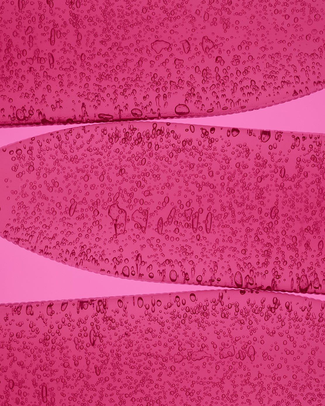 Close-up abstract texture featuring semi-transparent pink gel layers with small bubbles, creating an ethereal, organic pattern.