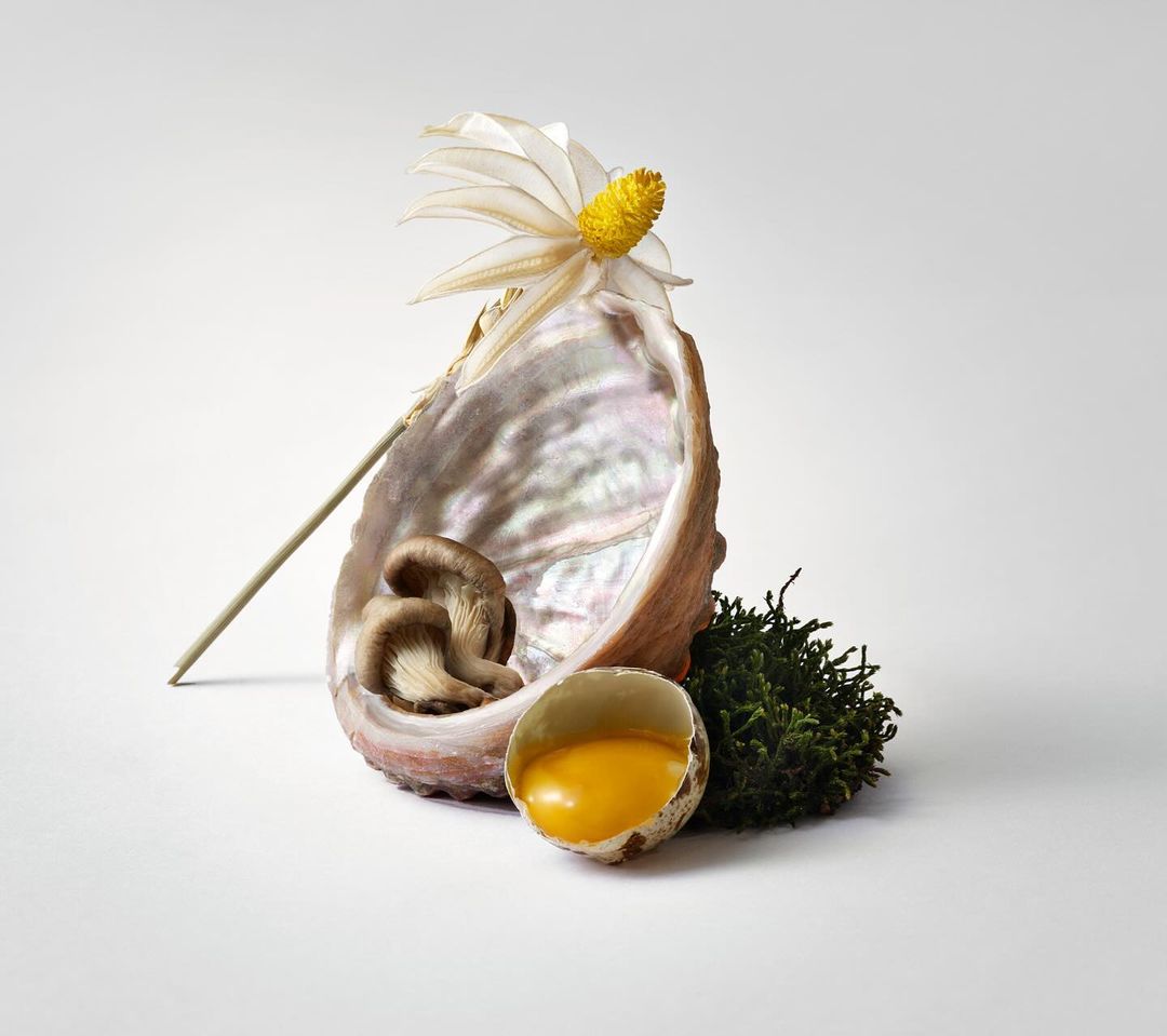 Still life shot of abalone shell, mushrooms, white flower, moss, and cracked egg with yolk on a bright white surface.
