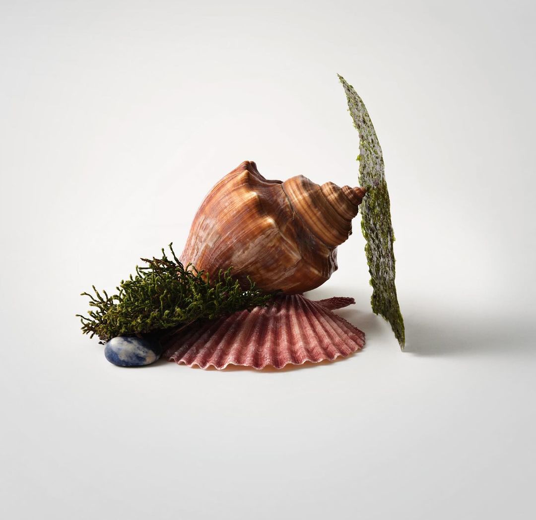 Still life shot of a brown conch shell, a pink scallop shell, a blue stone, green moss, and a piece of seaweed on white.