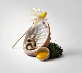 Still life arrangement with an abalone shell, a white flower, mushrooms, an egg yolk in a broken shell, and moss on white