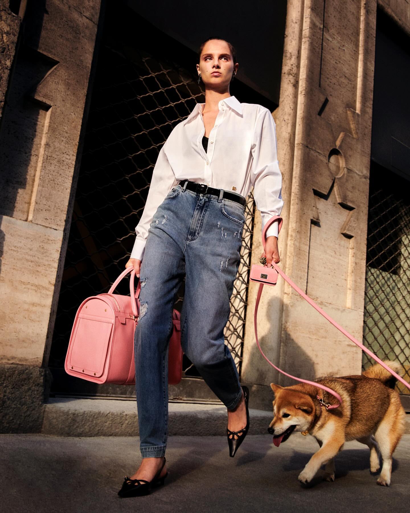 Woman in a white shirt and jeans walks a Shiba Inu dog on a leash next to a building with pink purse and bag in daytime.