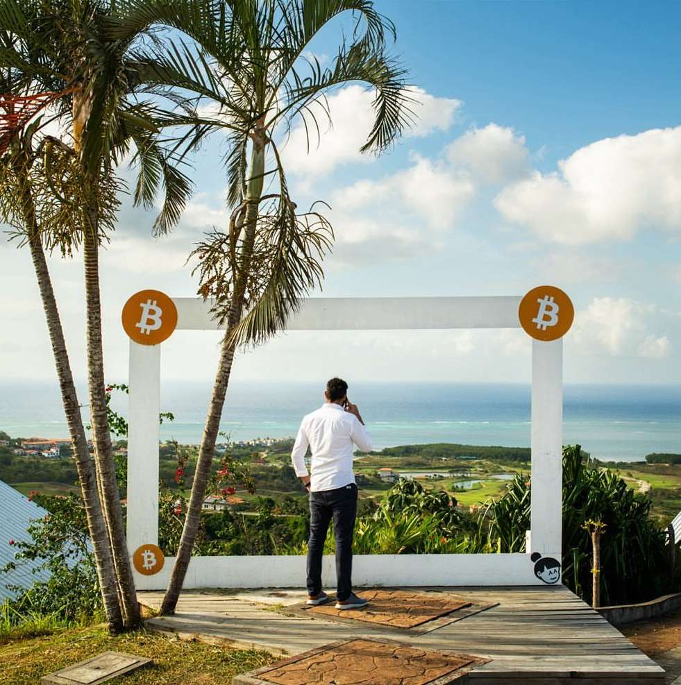 Man in white shirt admires ocean view framed by Bitcoin-branded structure on tropical hillside under a sunny blue sky with palm trees.